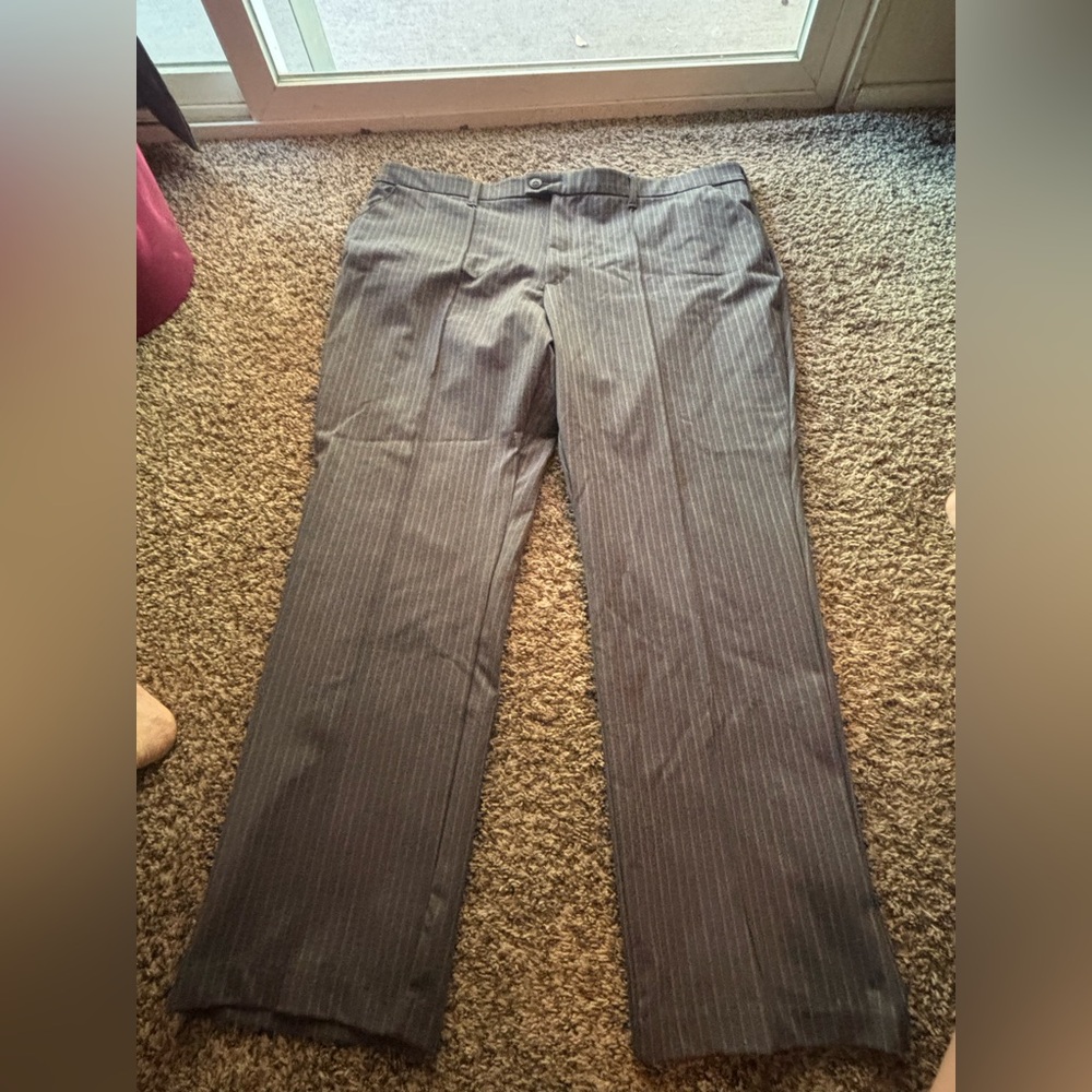 Lee Women’s Gray Striped Dress Pants worn once for an interview